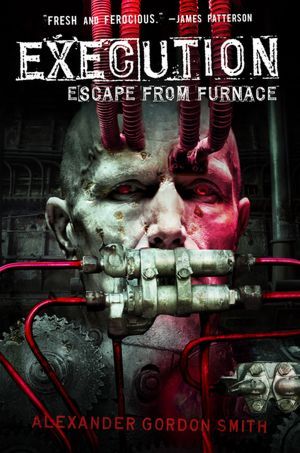 Book Cover for Execution