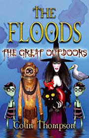 Book Cover for The Great Outdoors