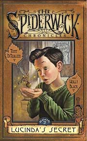 Book Cover for Lucinda's Secret