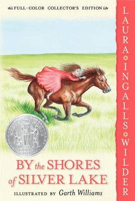 Book Cover for By the Shores of Silver Lake