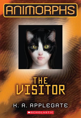 The Visitor Book Cover for The Visitor