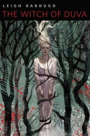 Book Cover for The Witch of Duva