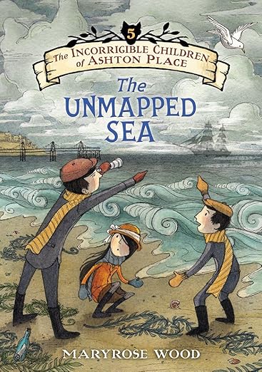 Book Cover for The Unmapped Sea