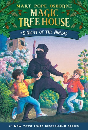 Book Cover for Night of the Ninjas