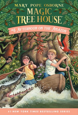 Book Cover for Afternoon on the Amazon