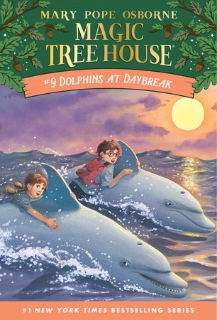 Book Cover for Dolphins at Daybreak