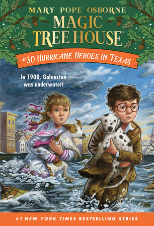 Book Cover for Hurricane Heroes in Texas