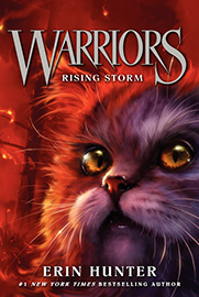 Book Cover for Rising Storm
